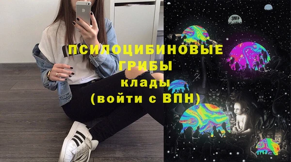 ешки Верхний Тагил