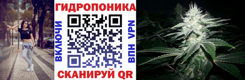 купить наркотики сайты mega tor Бошки марихуана SATIVA & INDICA darknet как зайти Ачинск